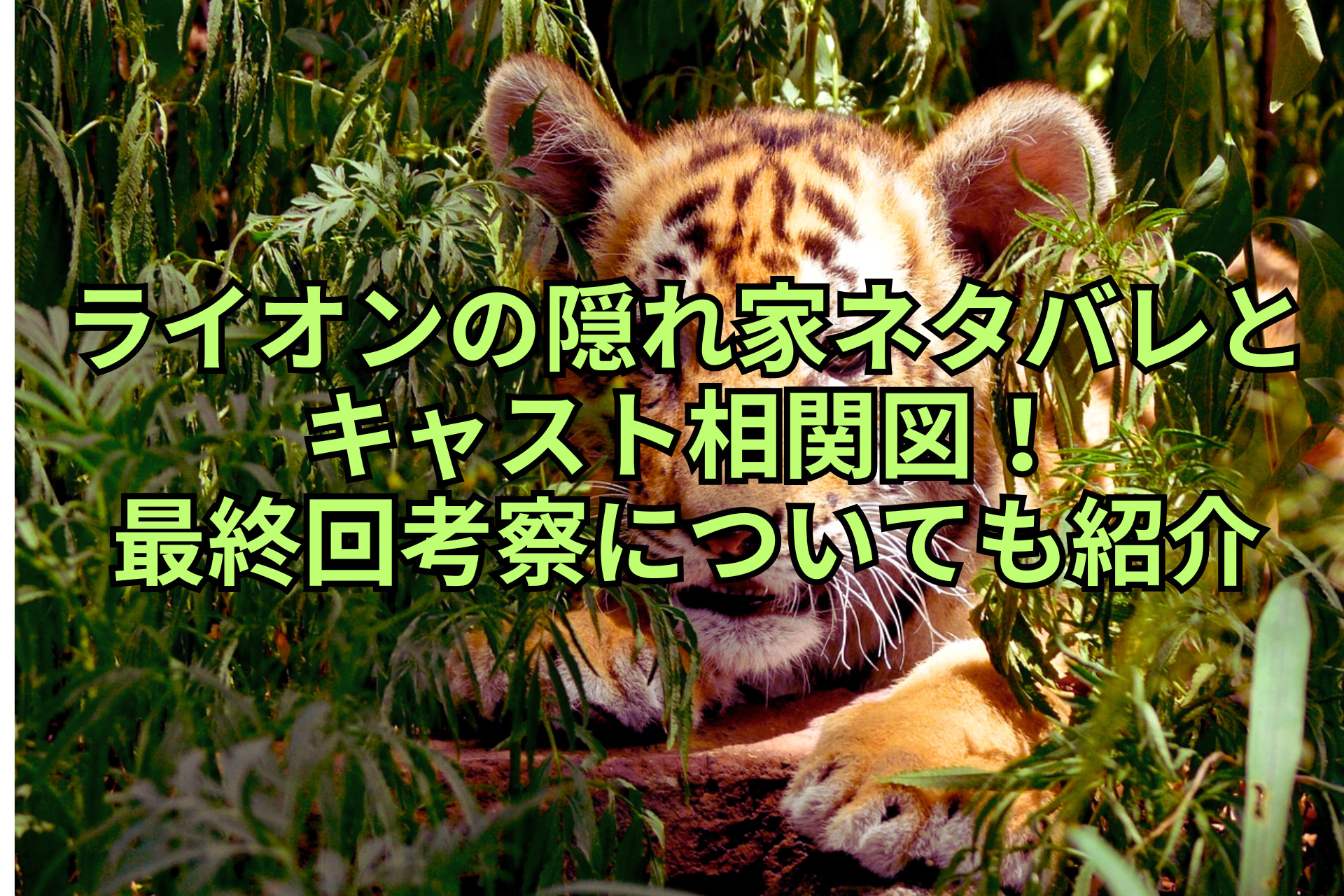 ライオンの隠れ家ネタバレとキャスト相関図！最終回考察についても紹介